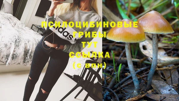 соль ск Бородино