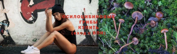 дурь Бугульма