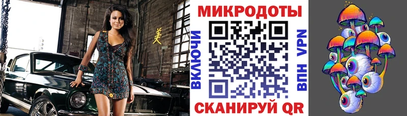 Купить где  Костерёво  Псилоцибиновые грибы Psilocybine cubensis 